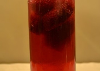 Cranberry Ice