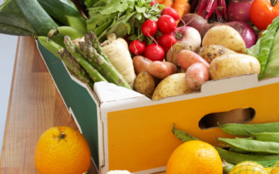 Regular Detox Benefits