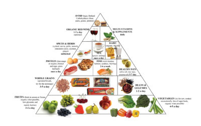 Today’s Food Pyramid