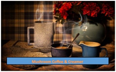 Mushroom Coffee… Seriously?