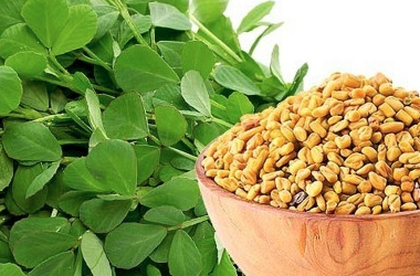 Fenugreek-  a Super Spice